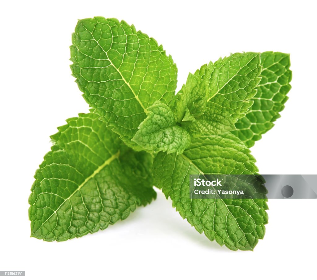 Mint Leave-in Conditioner